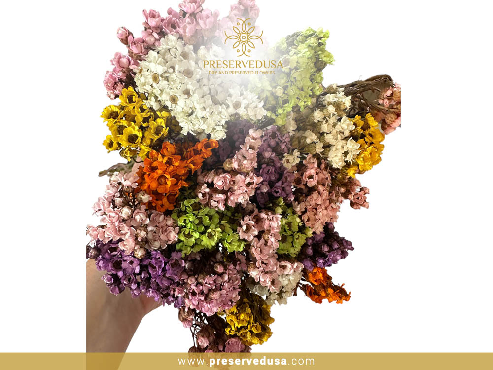 DRIED FLOWERS FROM AROUND THE WORLD