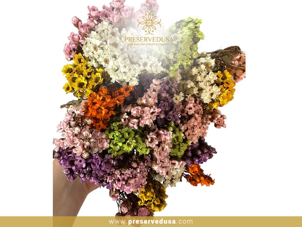 DRIED FLOWERS FROM AROUND THE WORLD