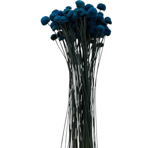 Dry dark blue botao - Image 2