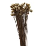 Dry white Glixia - Image 2