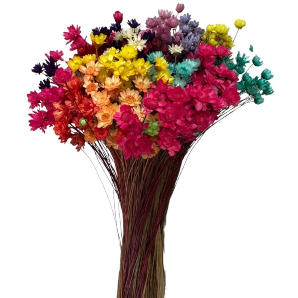 Dry mix color mini Glixia