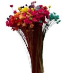 Dry mix color mini Glixia - Image 2