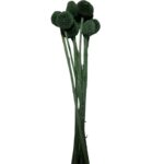 Preserved black craspedia - Image 2