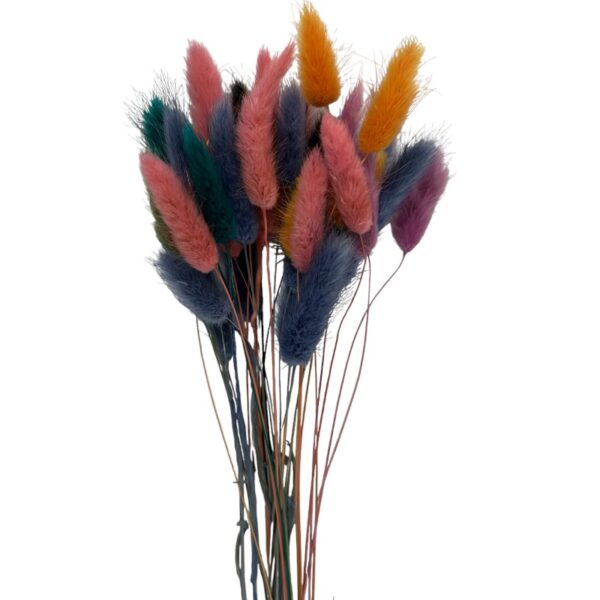 Dry mix Lagurus - Image 2