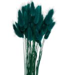 Dry shining green color Lagurus - Image 2