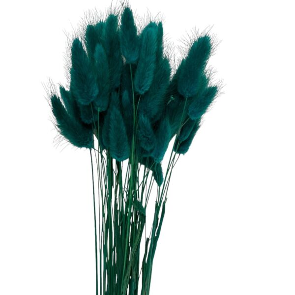 Dry shining green color Lagurus - Image 2