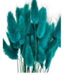 Dry shining green color Lagurus