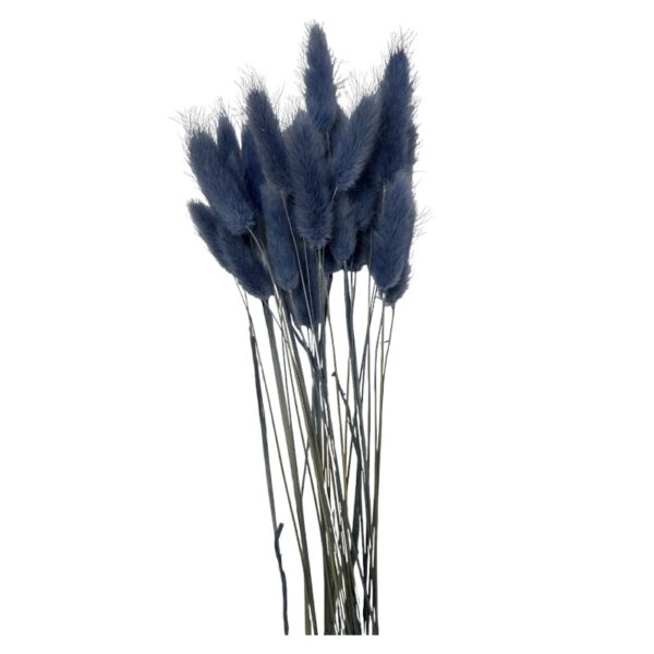 Dry lavender Lagurus - Image 2