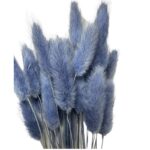 Dry lavender Lagurus