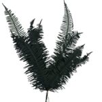 Preserved green Seagul fern - Image 2