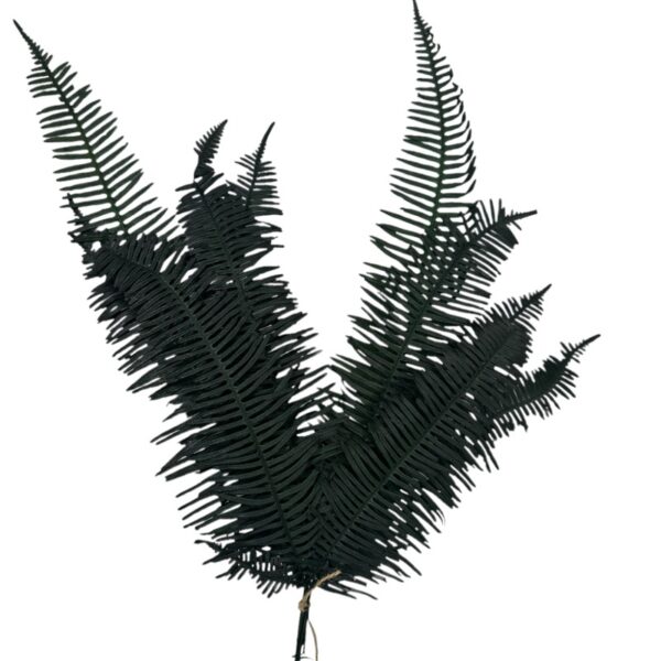 Preserved green Seagul fern - Image 2