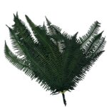 Preserved green Seagul fern