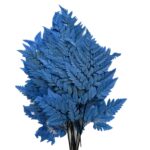 Preserved blue Cuero fern - Image 2