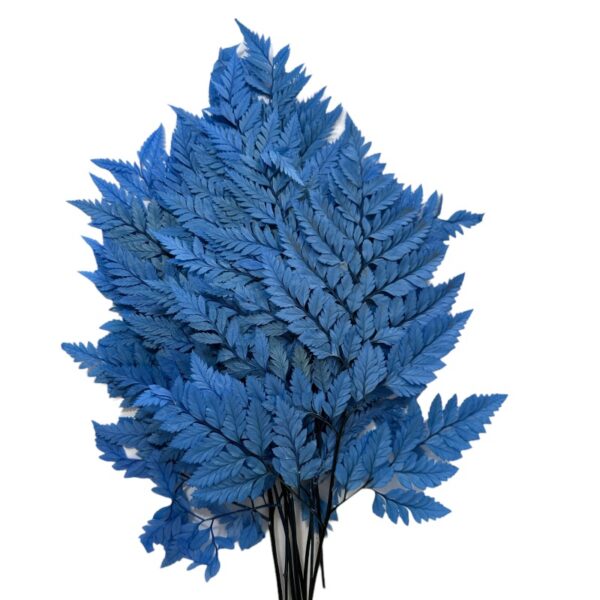 Preserved blue Cuero fern - Image 2