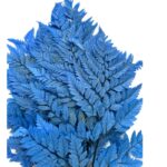 Preserved blue Cuero fern