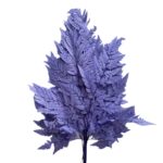 Preserved lilac Cuero fern - Image 2