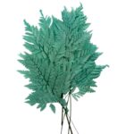 Preserved green mint Cuero fern - Image 2