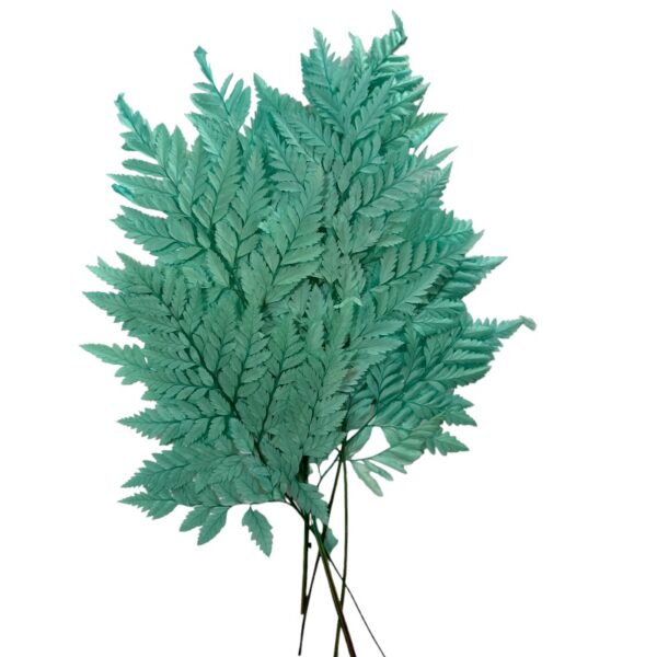 Preserved green mint Cuero fern - Image 2