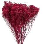 Dry wine color broom - Image 2