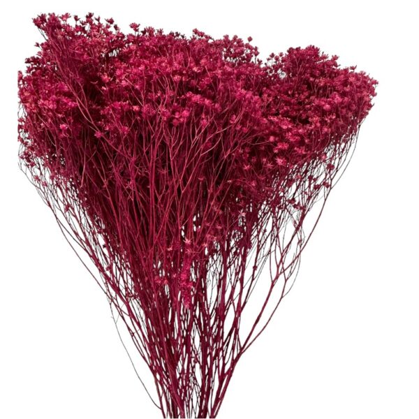 Dry wine color broom - Image 2