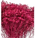 Dry wine color broom
