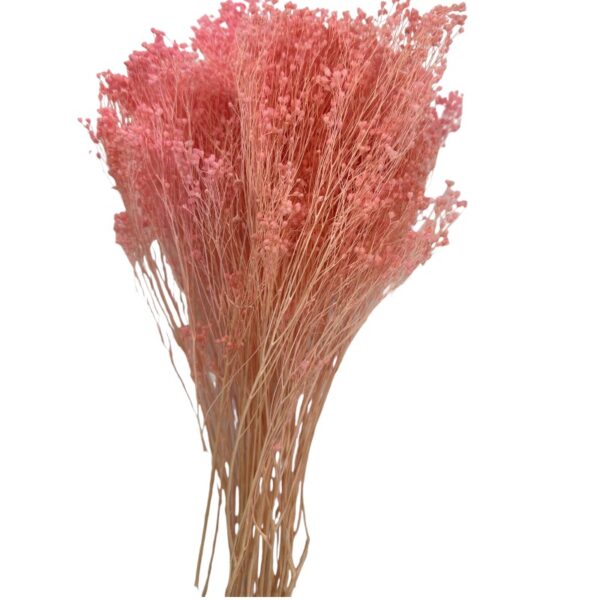 Dry light pink broom - Image 2
