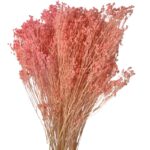 Dry light pink broom