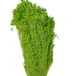 Dry pistachio green color broom - Image 2