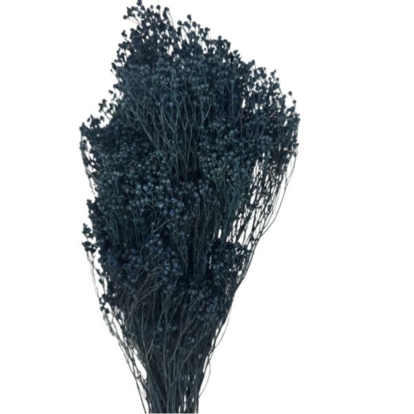 Dry navy broom - Image 2