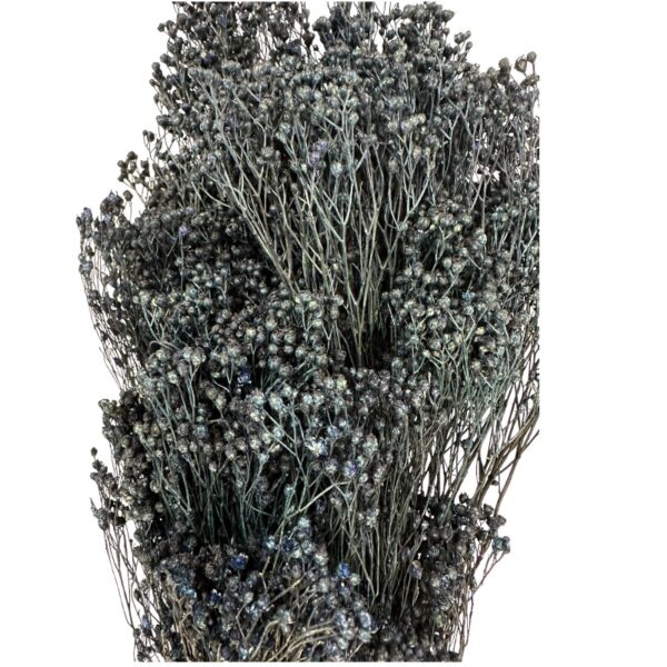 Dry navy broom