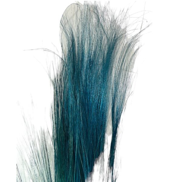 Dry black barba