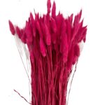 Dry fuchsia Lagurus - Image 2