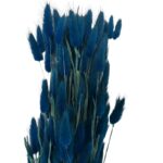 Dry dark blue Lagurus - Image 2