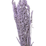 Dry misty lilac oat - Image 2