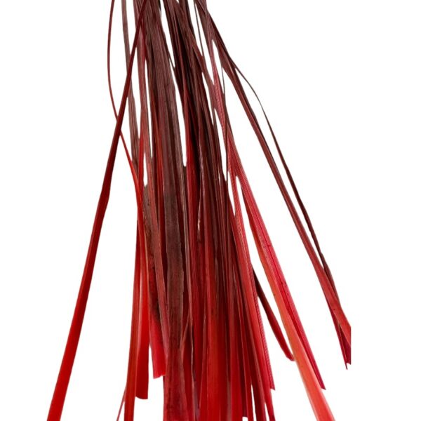 Preserved red Bear grass - Image 2