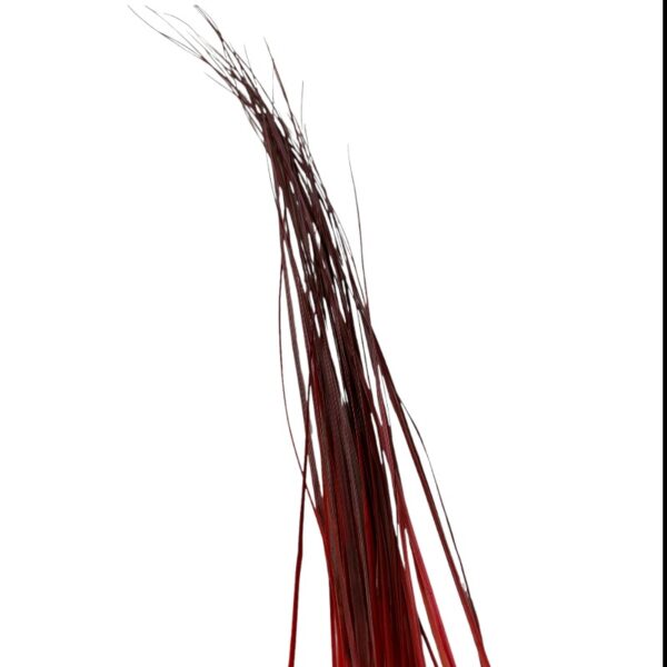 Preserved red Bear grass