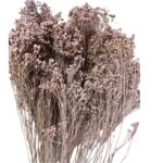 Dry misty lilac broom