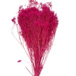 Dry fuchsia broom - Image 2