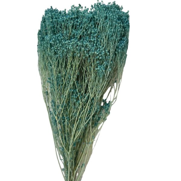 Dry blue broom - Image 2