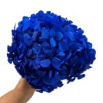 Preserved Hydrangea blue 03 - Image 2