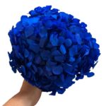 Preserved Hydrangea blue 03