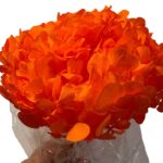 Preserved Hydrangea orange 99 - Image 2