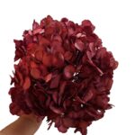Preserved Hydrangea pink 10 - Image 2