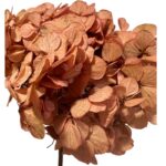 Preserved Hydrangea pink 09 - Image 2