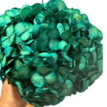 Preserved Hydrangea blue 06