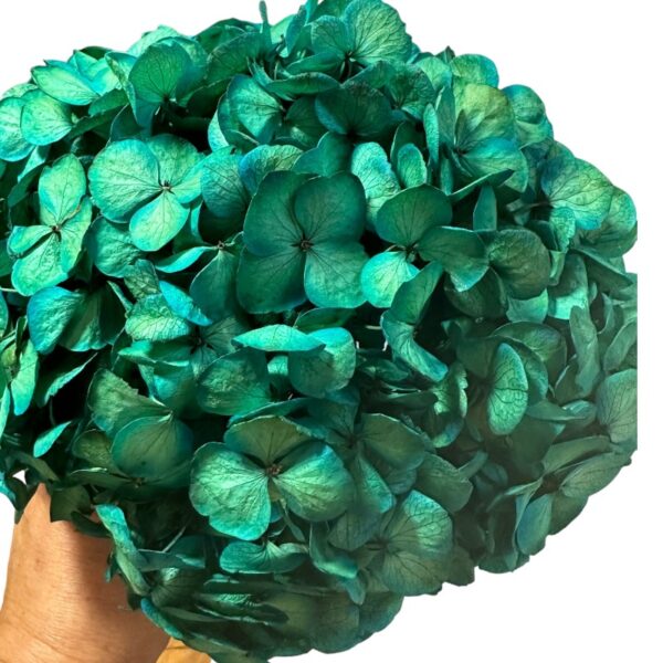 Preserved Hydrangea blue 06