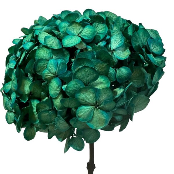 Preserved Hydrangea blue 06 - Image 2