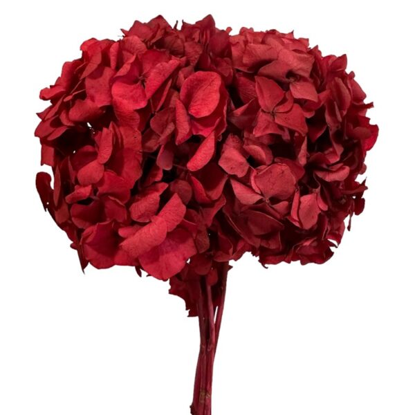 Preserved Hydrangea pink 08 - Image 2