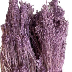 Dry lavender broom