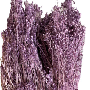 Dry lavender broom